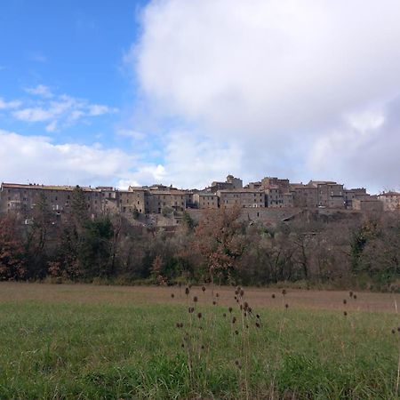 Casa Vacanza In Casale Vicino Orvieto Ficulle Exterior foto